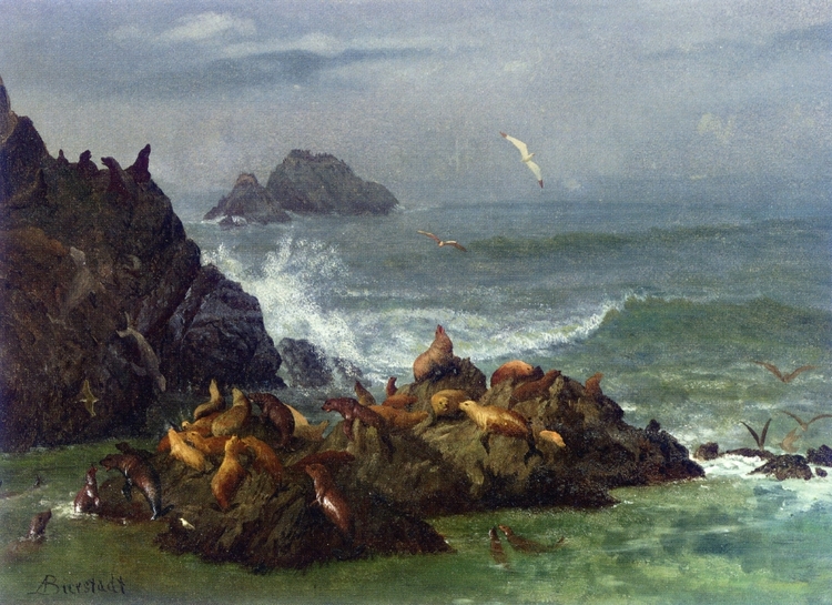 Albert Oil Painting Seal Rocks, Pacific Ocean, California - Click Image to Close